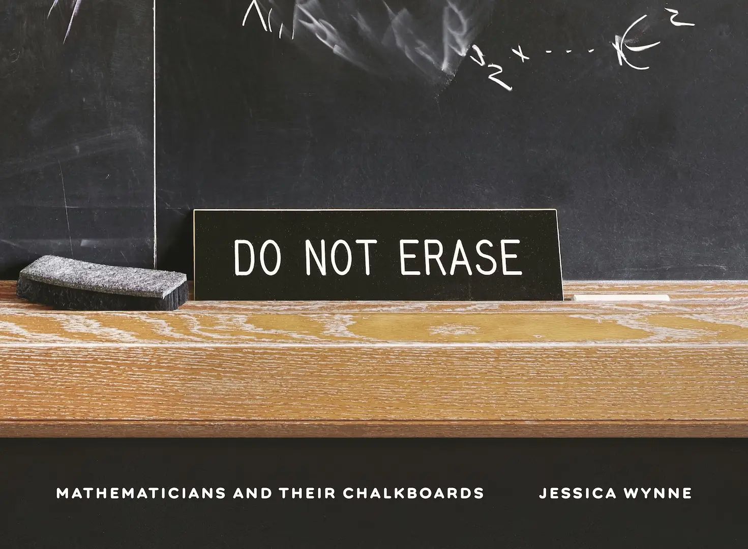 Do Not Erase: Mathematicians and Their Chalkboards by Jessica Wynne